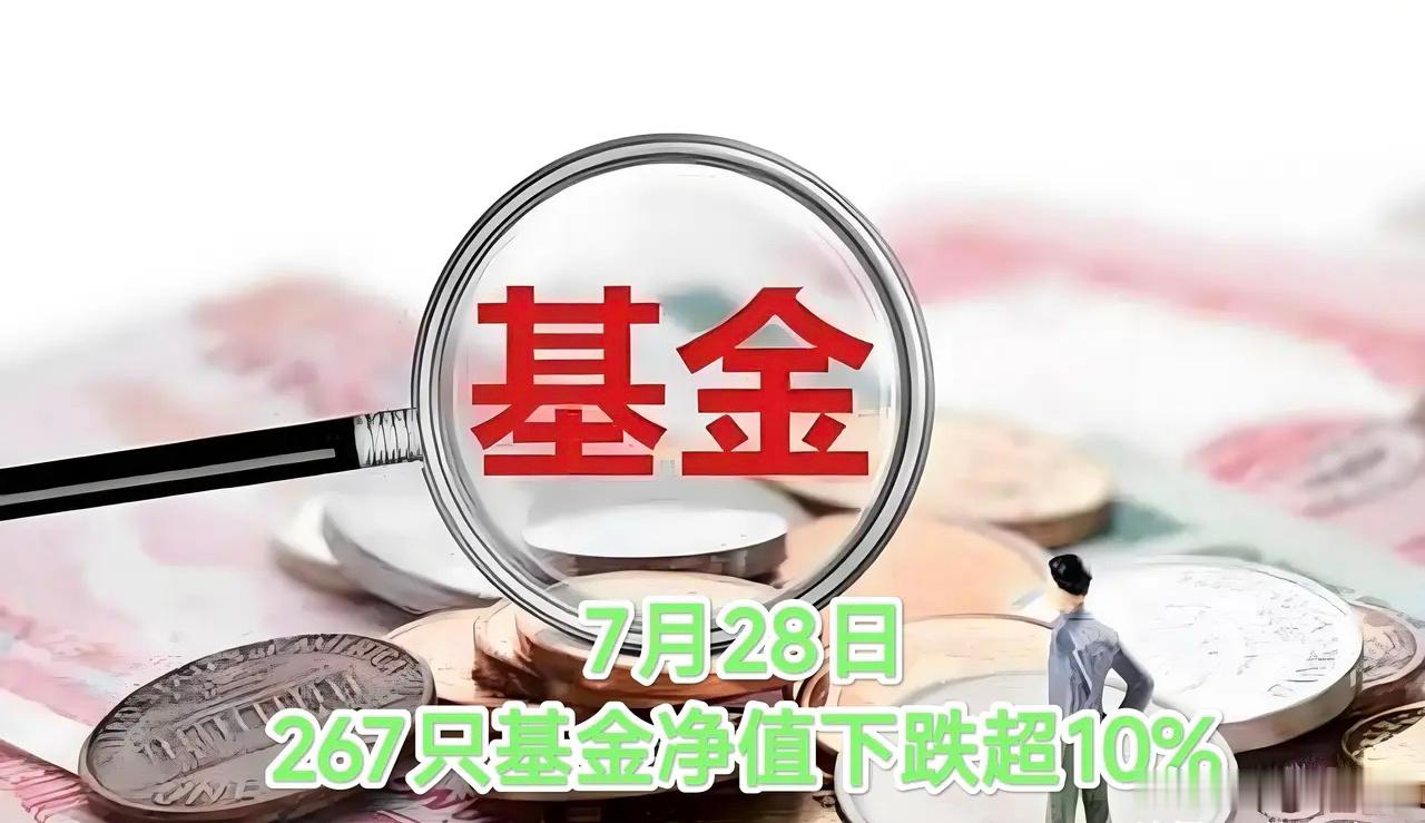 基金重仓抱团股出现踩踏——7月28日，267只基金当日净值跌幅超过10%！这个数