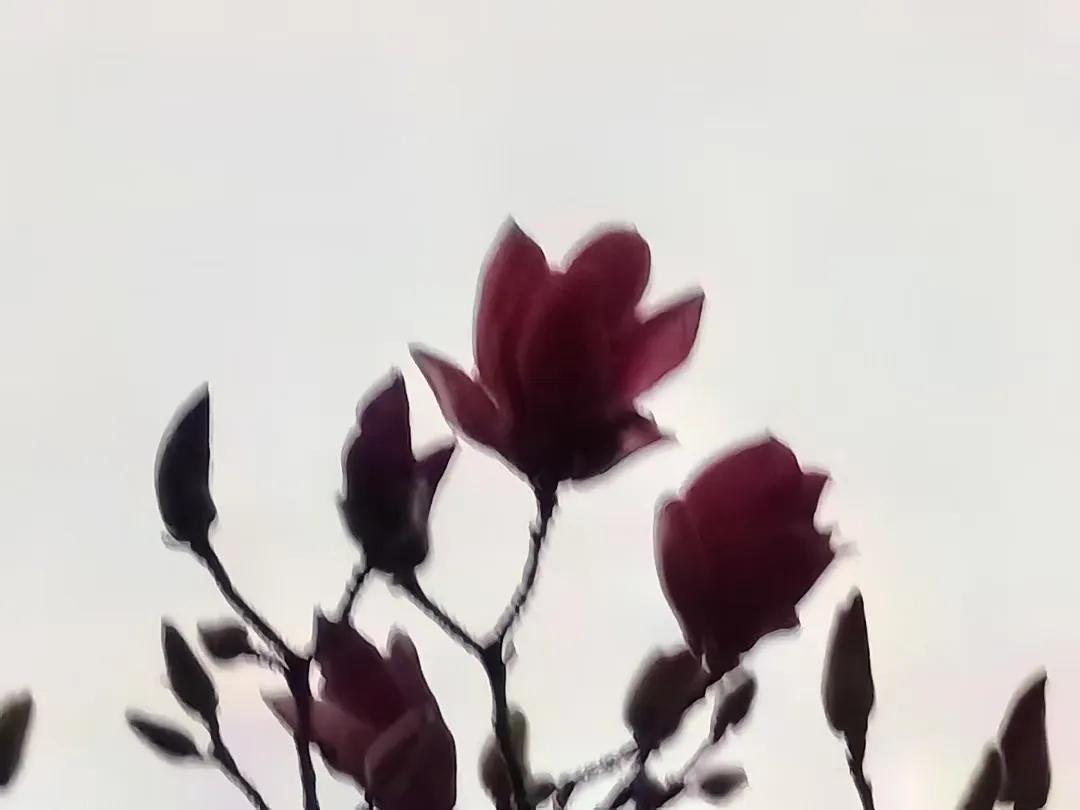 早安！