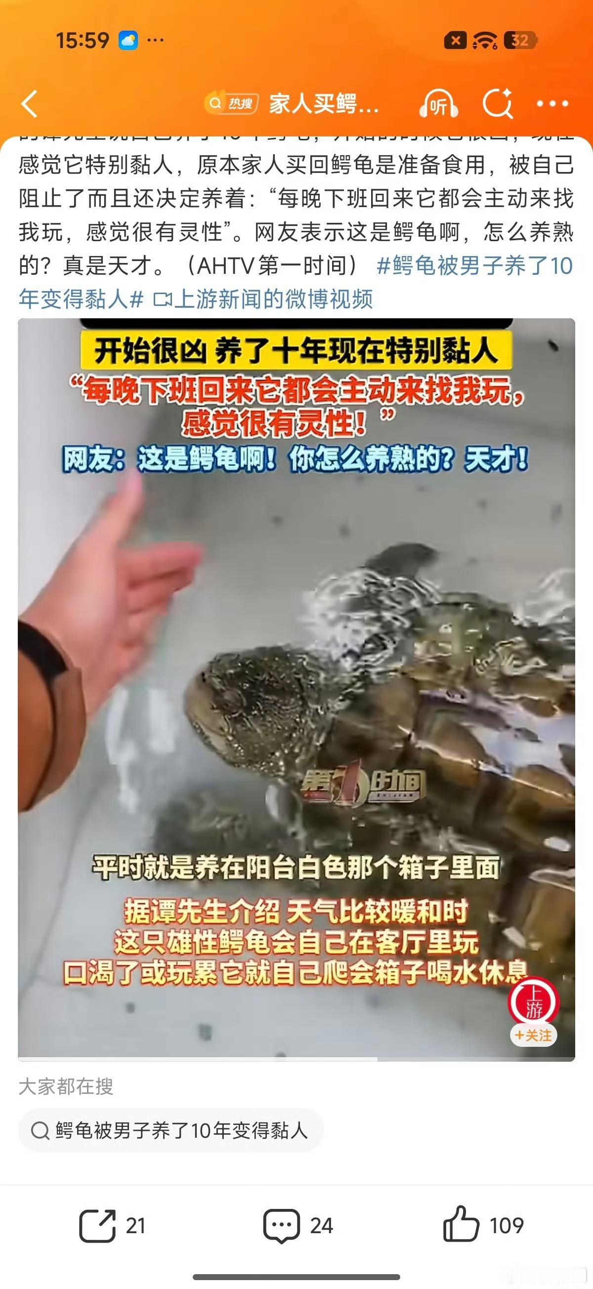 广东佛山这事儿也太暖了！谭先生家当年买回一只鳄龟，家人本打算杀来炖汤补身体，却被