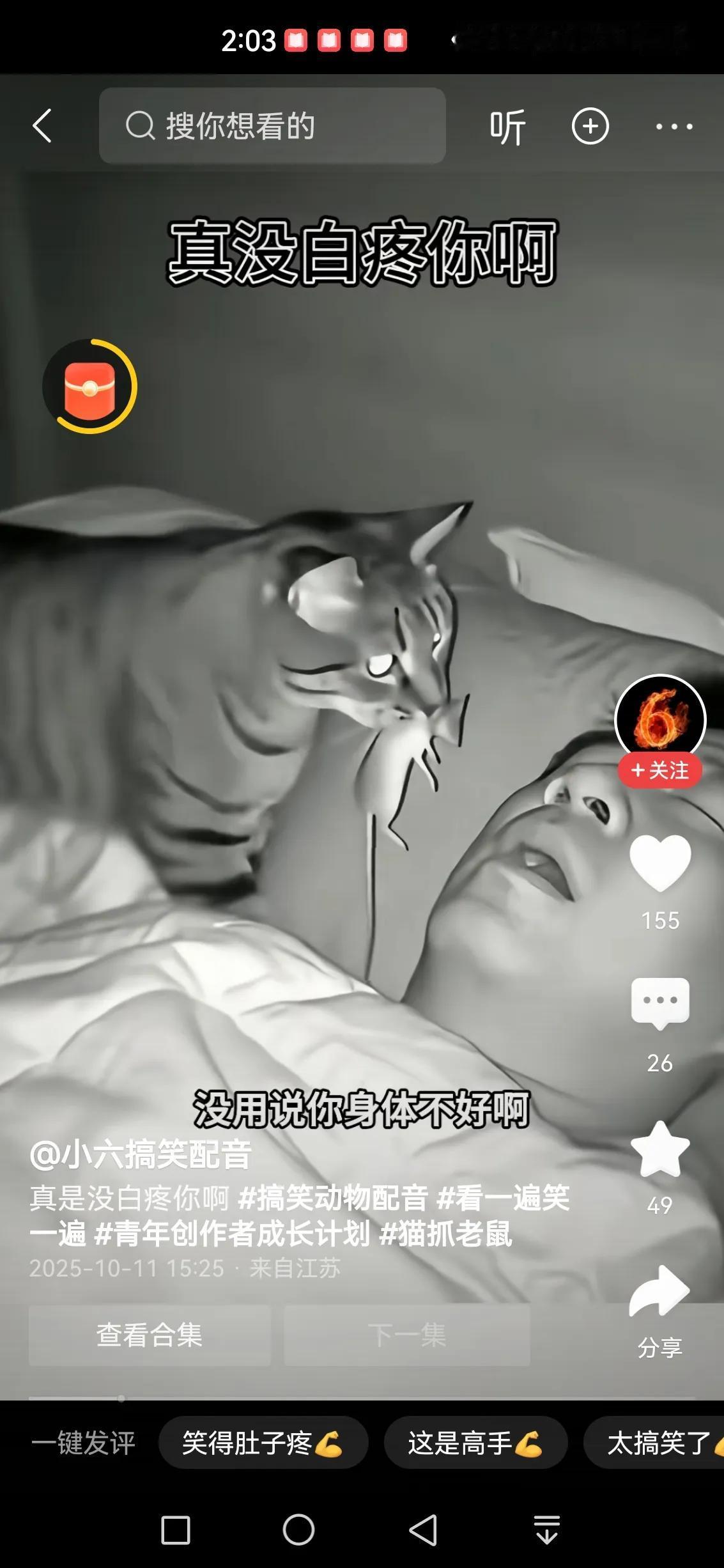 这猫对主人的爱，是真爱呀[捂脸]
把自己最爱的美食塞进主人嘴里[捂脸]