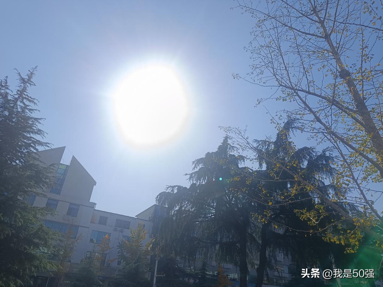 今天的天儿，简直就是一年当中最好的天儿，这个季节也是一年当中最美的季节，也是我最