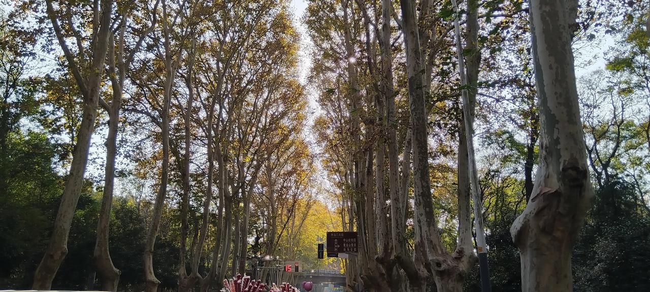 翠树红墙映，游客人潮匆匆。