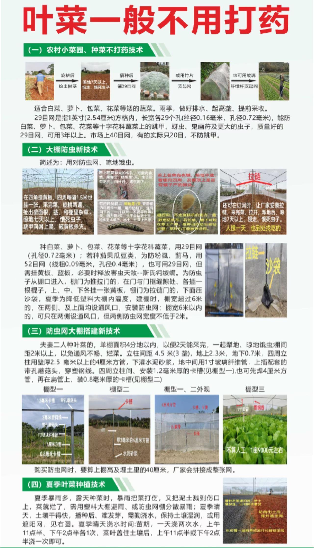 防虫技术 蔬菜 抖音助农