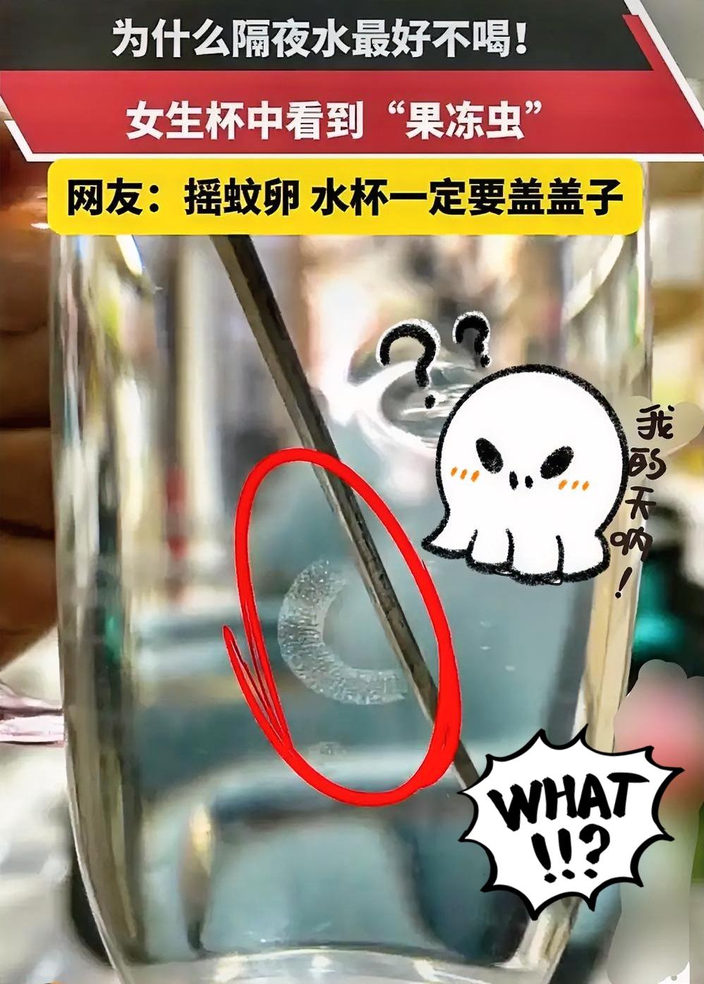 惊呆了！
隔夜水里会有这样的虫卵[石化]
说是隔夜水必加盖子
不然被虫子产卵，