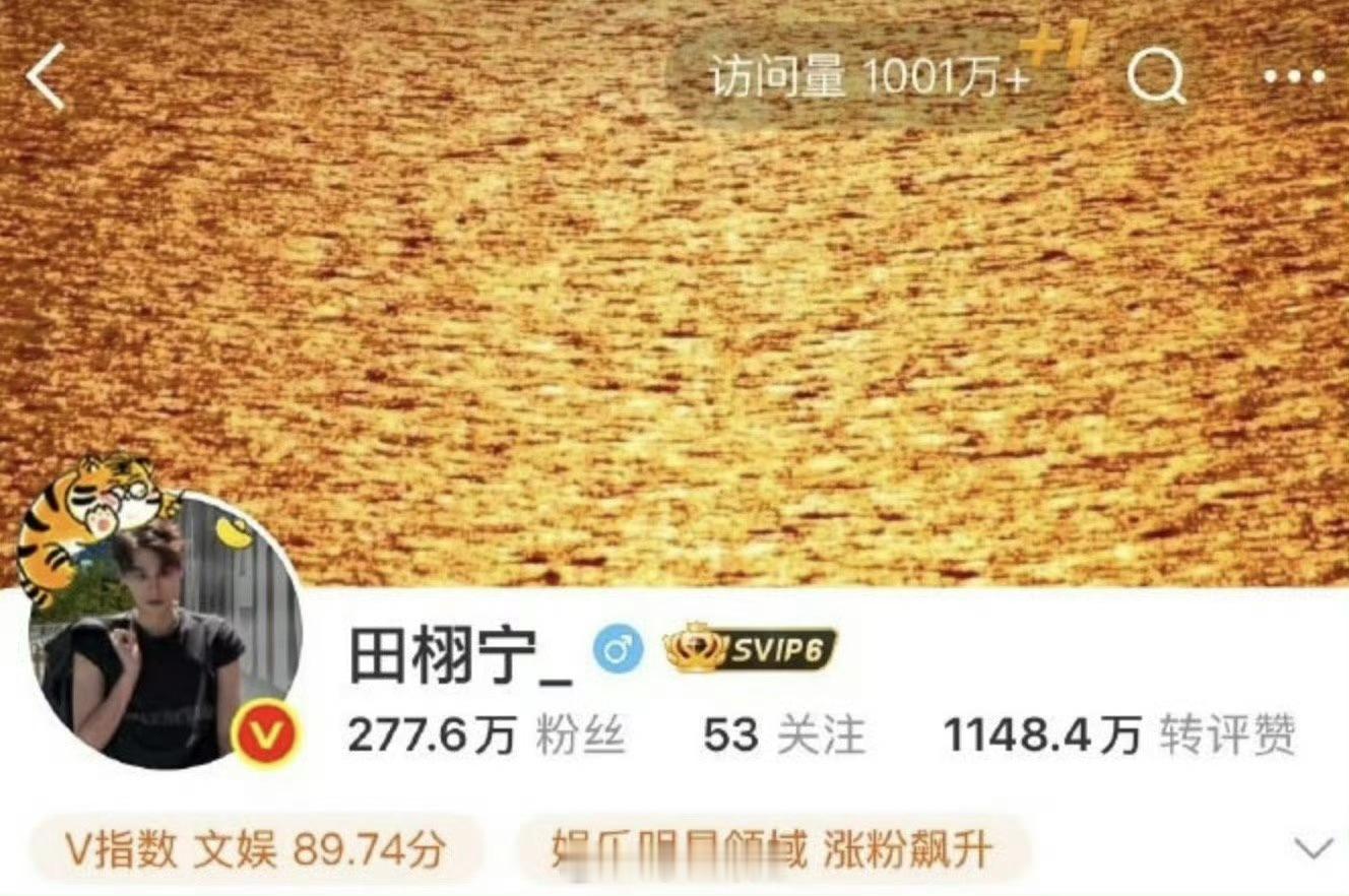 田栩宁主页访问量破一千万+，这真给他飞升成流量了田栩宁梓渝站姐如雨后春笋般 ​​