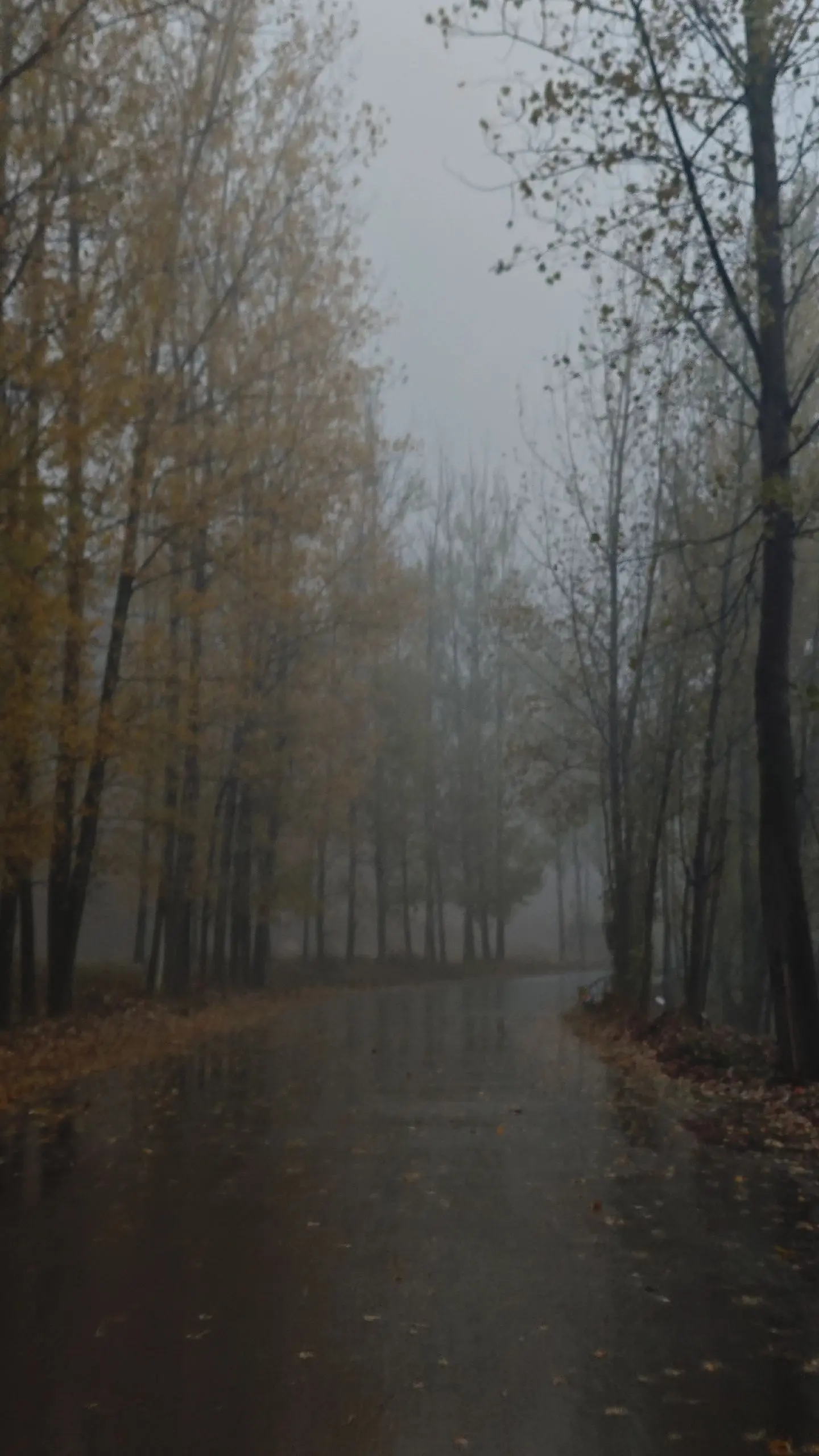下雨了我要出去洗头了