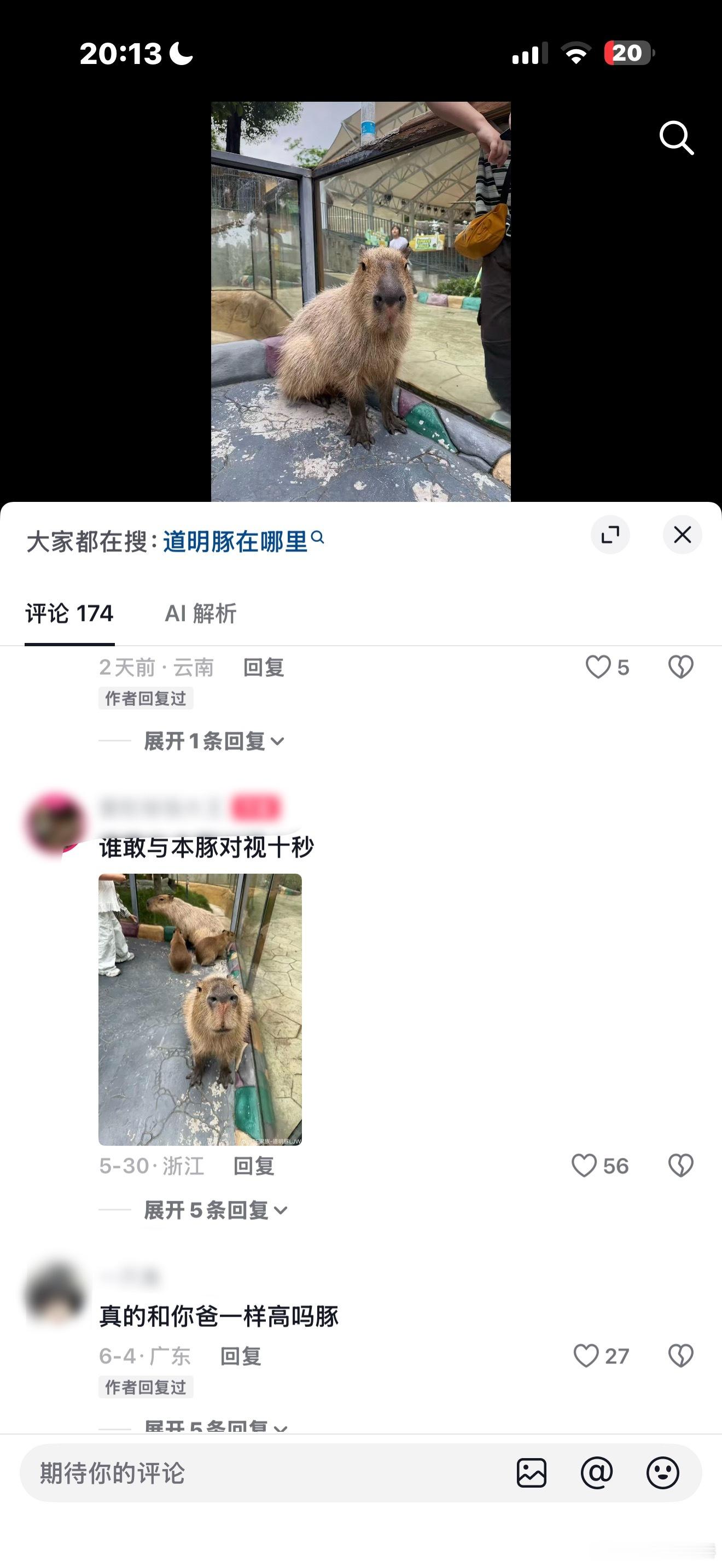 xc可以多宣传宣传我们家孙孙呀