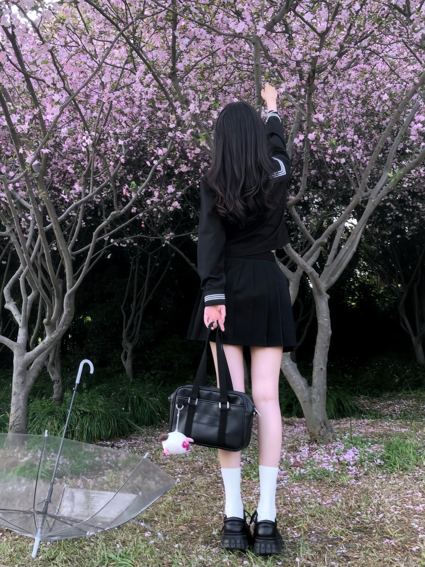 樱花落下的速度是每秒五厘米 我该用怎样的速度才能与你相遇