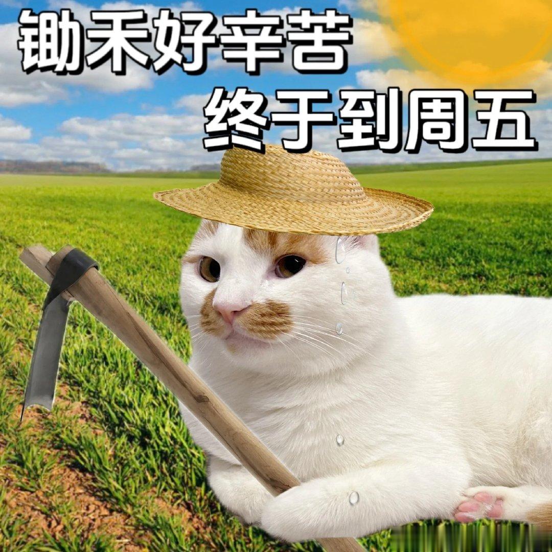 无限流结束了，今天就是周五！好艰难的一周，谁懂打工人的苦？ ​​​