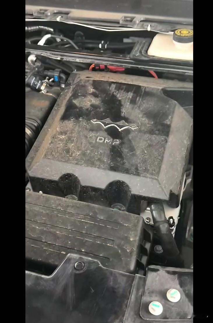 网爆方程豹钛七和唐L是同平台，说白了就是钛七＝唐L（方盒子混动版本）
一鱼多吃还