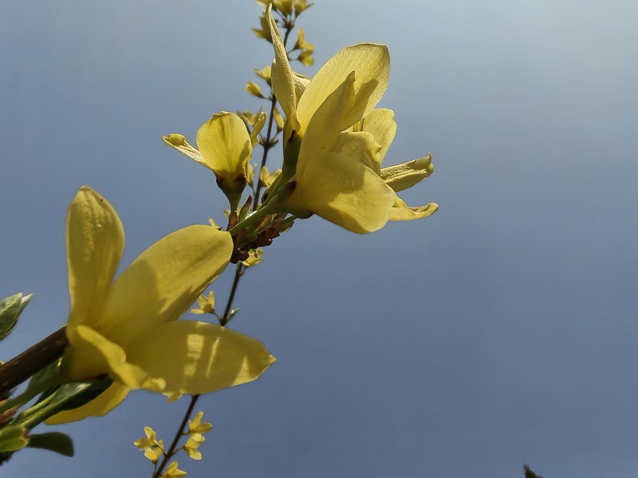 上联：青山依旧，怎么对下联碧水长流