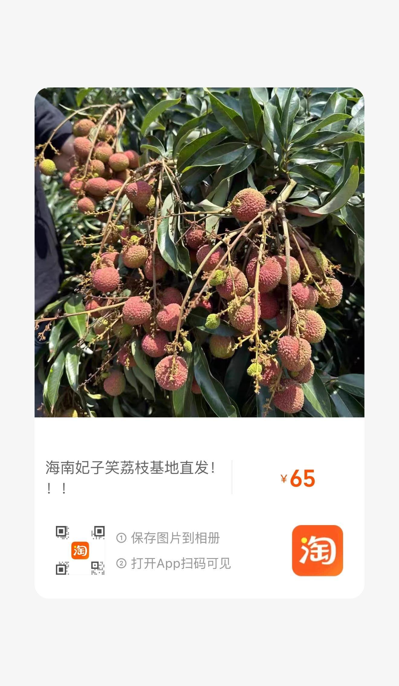 鸽鸽庄园海南火山口妃子笑荔枝三点上，酸甜口非纯齁甜那种，比去年便宜3块钱~今年确