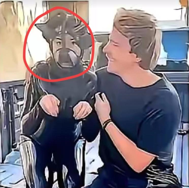 真有点看着心里堵的慌，国外一段视频，让看到的人情以何堪，这位白人男子用绳子牵着一