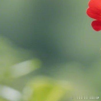 生活其实很简单，看透是一种领悟，看淡是一种轻松，看开是一种快乐，想多了都是问题，