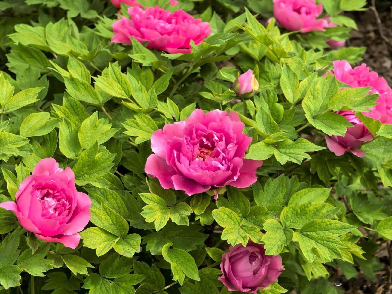 【小对联】
上：……？
下：世家。