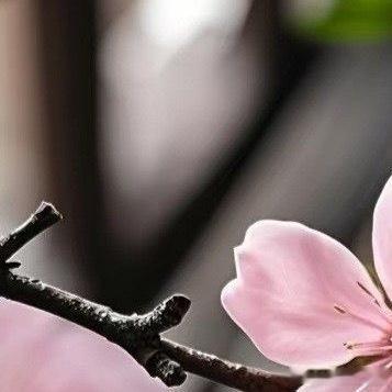 阳光信用  ❤阳光信用💜 【hu动指路 不吞必hui 不带🔗 勿带hui字，
