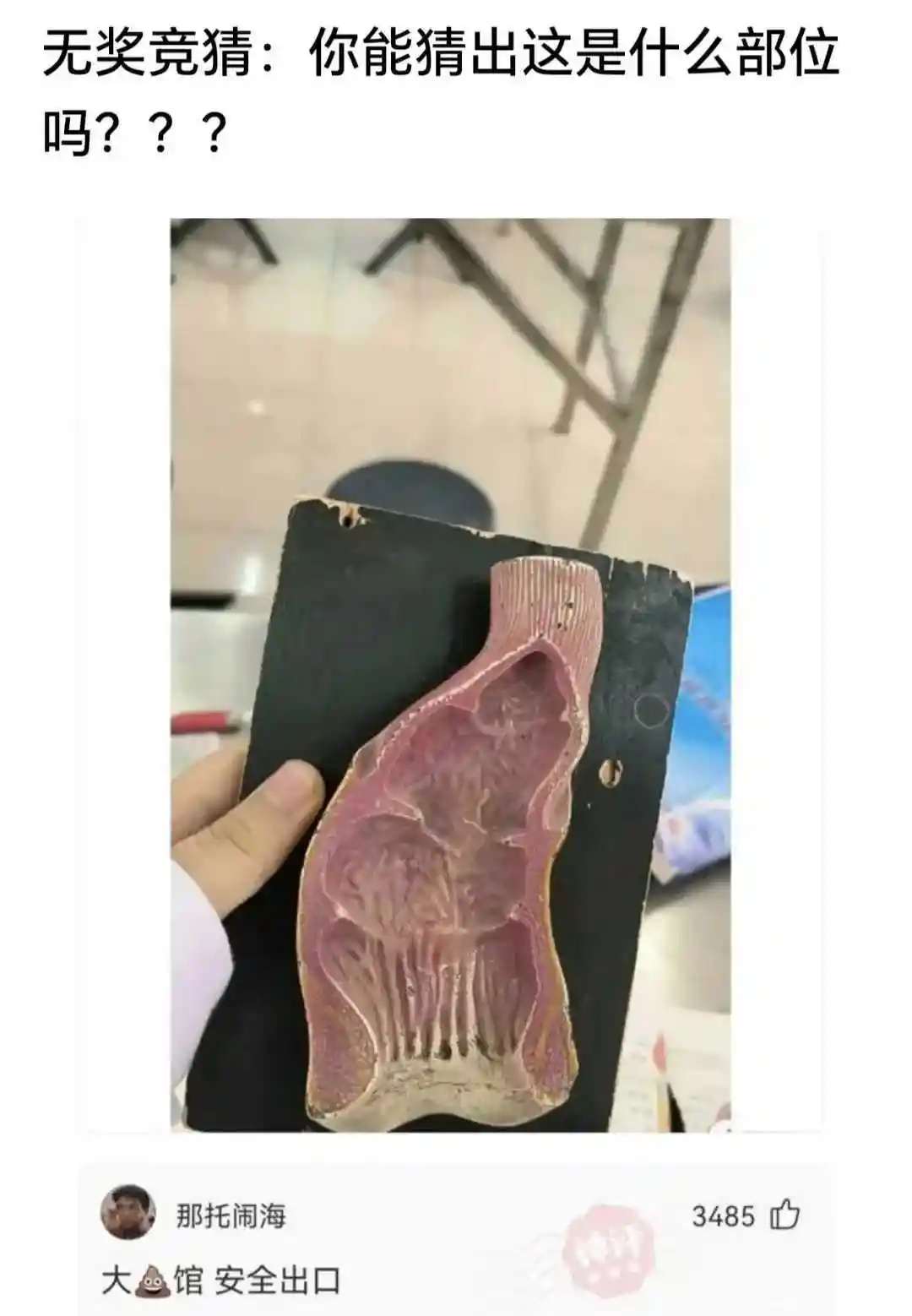 你能猜出这是什么部位吗？？？ 