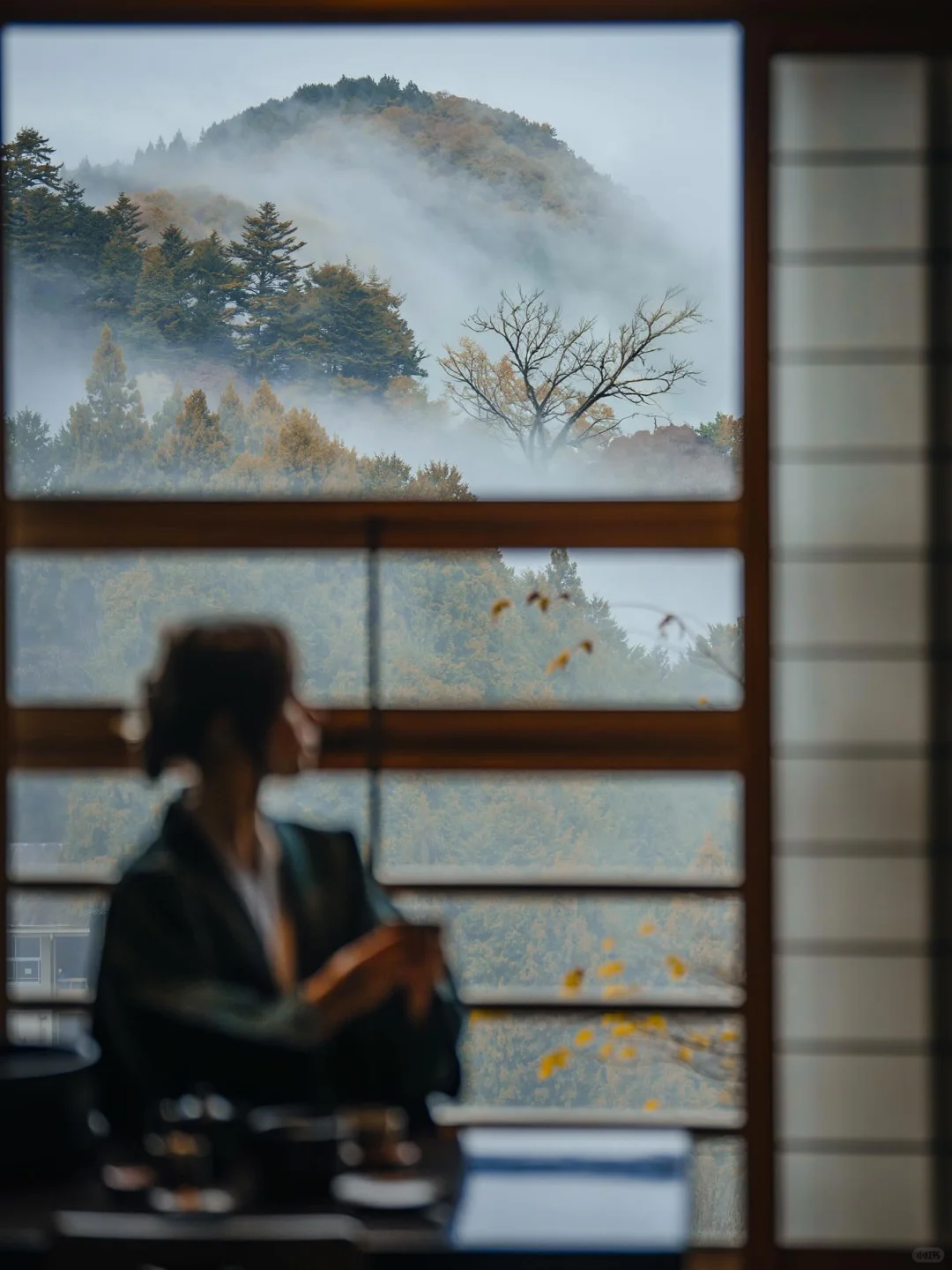 日本旅行✈️抛开景点，宿坊只有0次和无数次