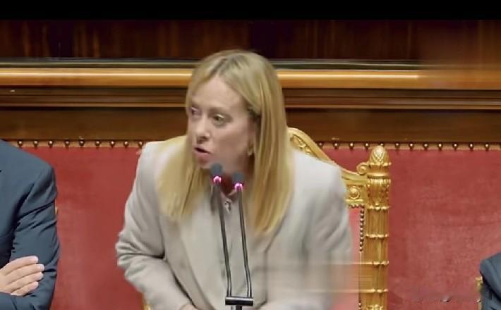 意大利总理梅洛尼说，动用俄罗斯资产要有法律基础，否则，等于给了普京一场胜利。
