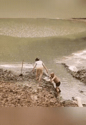 这要是跑了会怎么样[大笑][大笑][大笑]