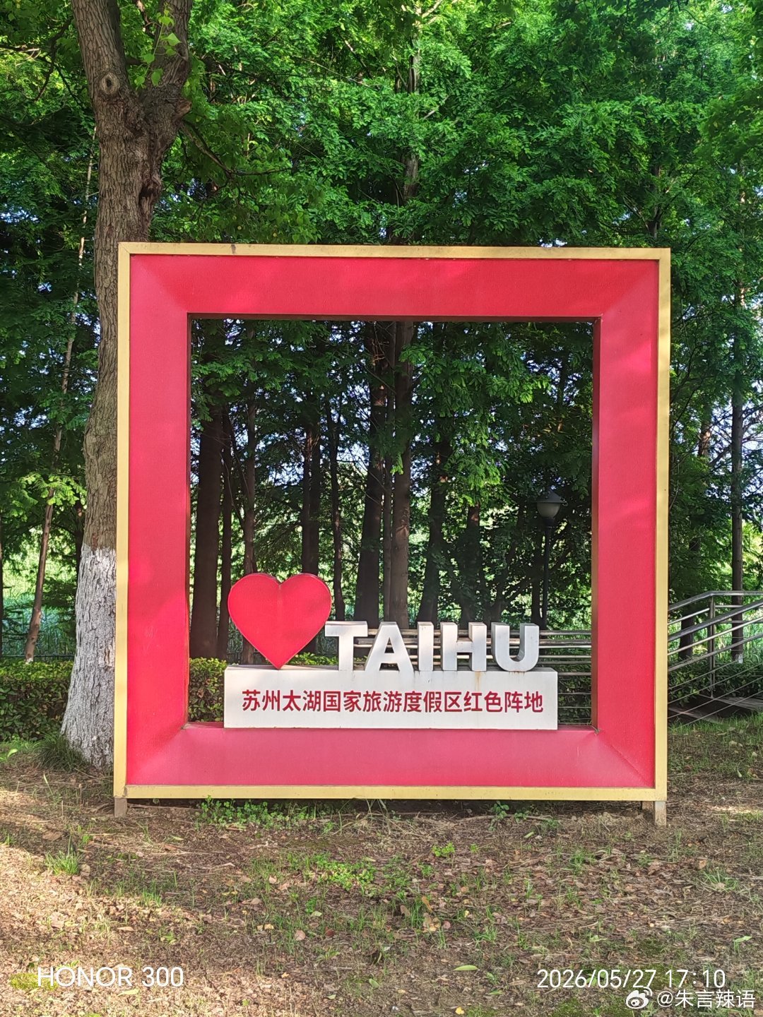 不一样的夏天 走进太湖新天地湿地公园，环湖骑行追风，黄昏时分的芦苇荡逆光剪影，随