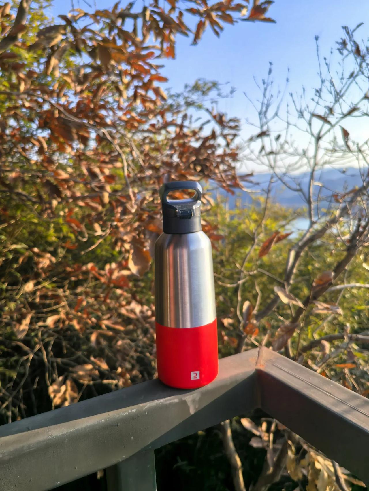 谢公自有东山妓，
溪口共饮东山咖；
今日东湖爬东山，
一杯奶咖一壶茶。