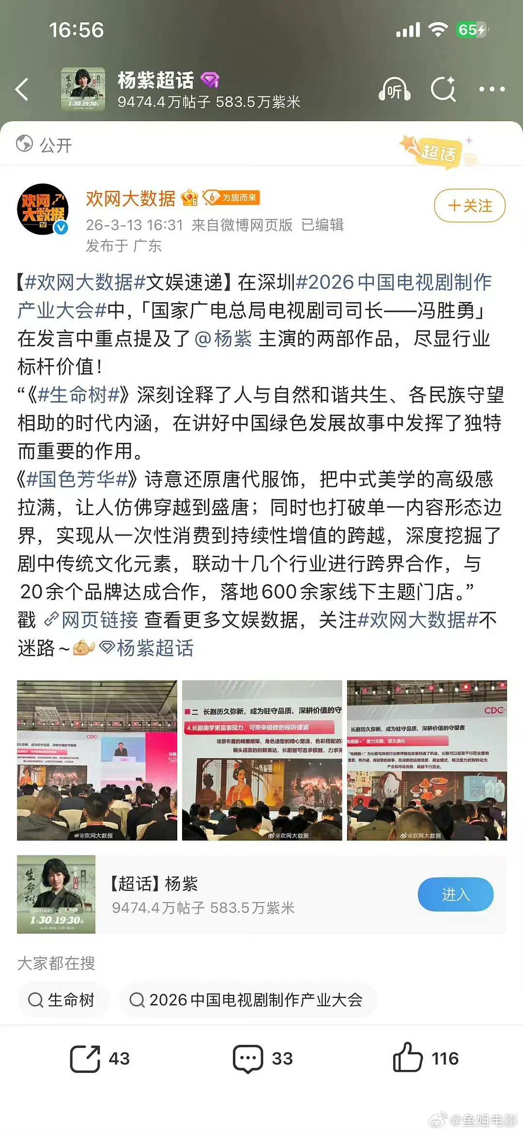 司长又夸了杨紫的国色芳华和生命树，尽显行业标杆 杨紫又被表扬了