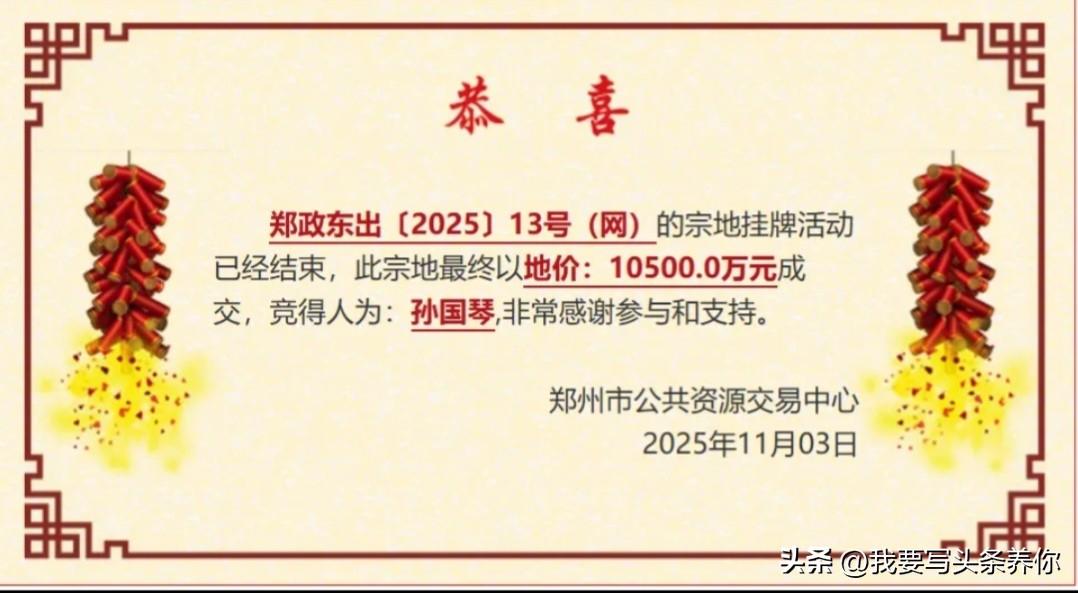 孙国琴这个人，一出手就是一点零五个亿，在郑州东站东广场胖东来旁边拿了块地。名字普