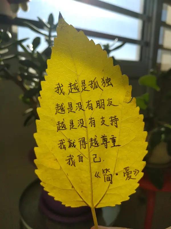 给自己一句爱自己的话，这一次，别再敷衍！
 
家人们，你有多久没好好跟自己说过一