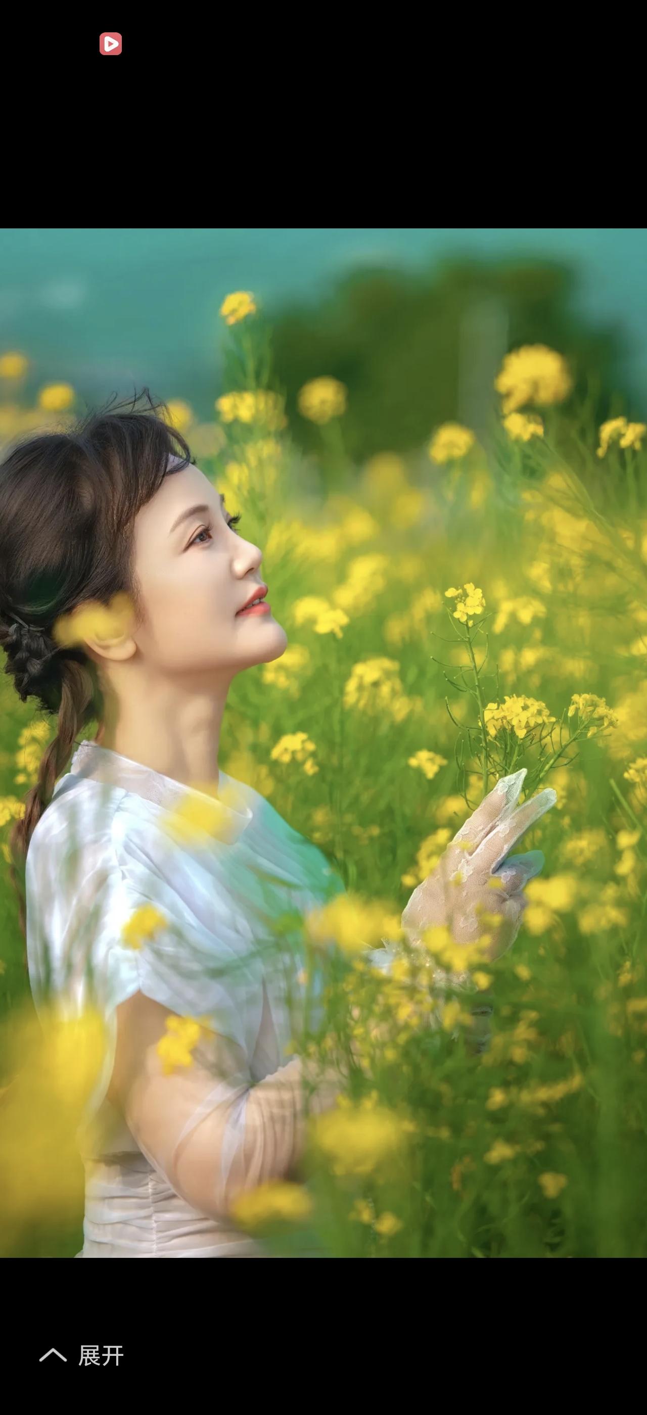 繁花似锦紫气东来