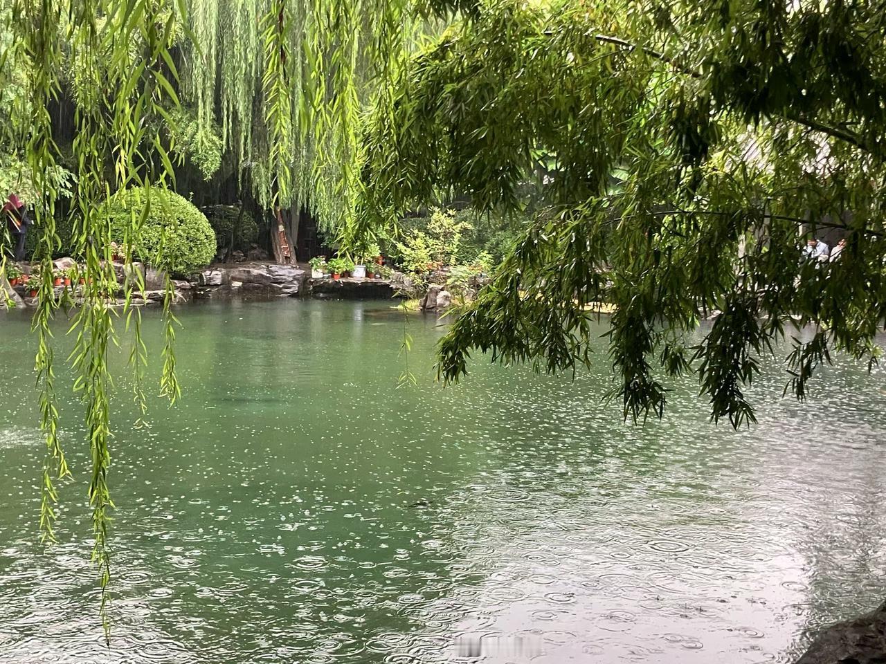 老天深秋雨连连
一片庄稼成泽园
百姓采收得划船
恰似湖中采藕莲

老天深秋雨连连