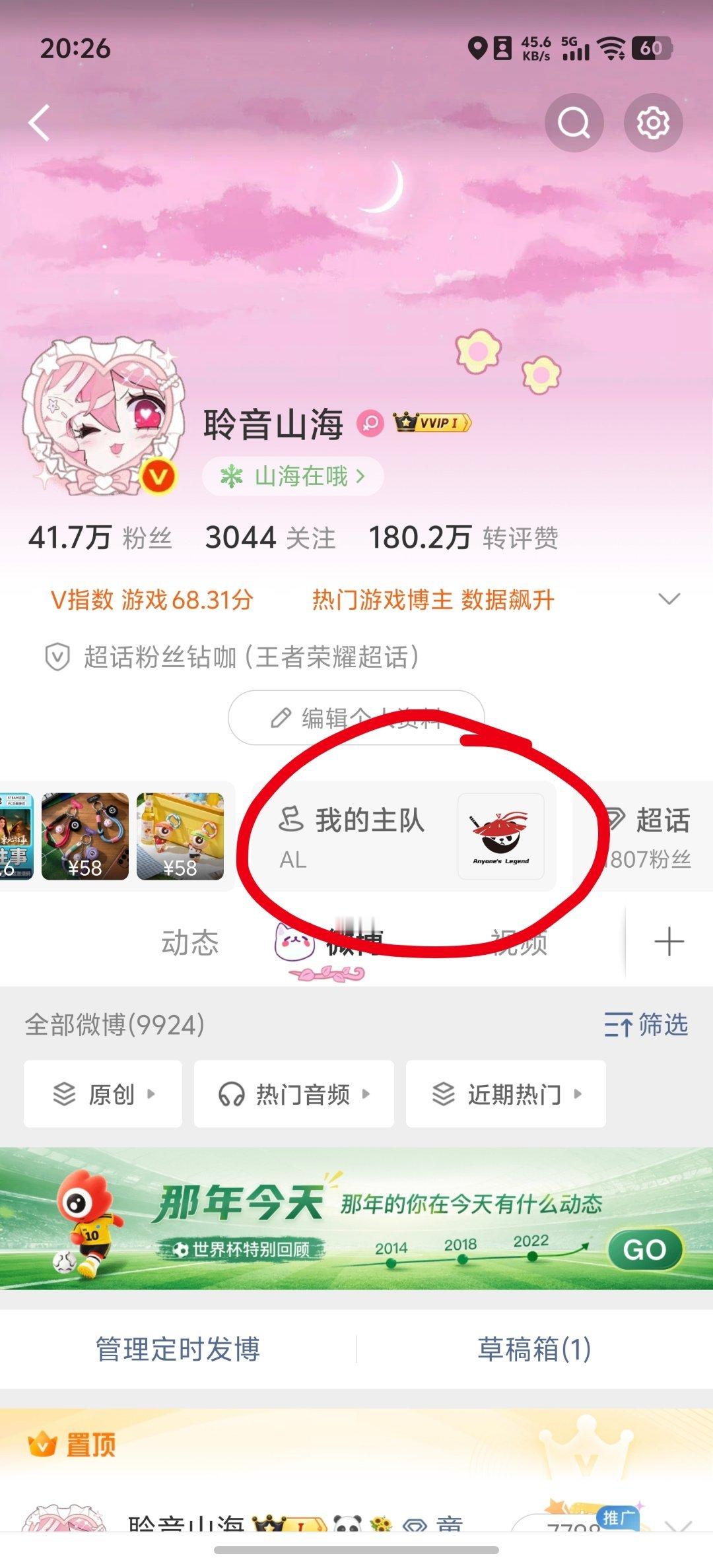 AL你我皆传奇 主页居然可以设置主队展示了 