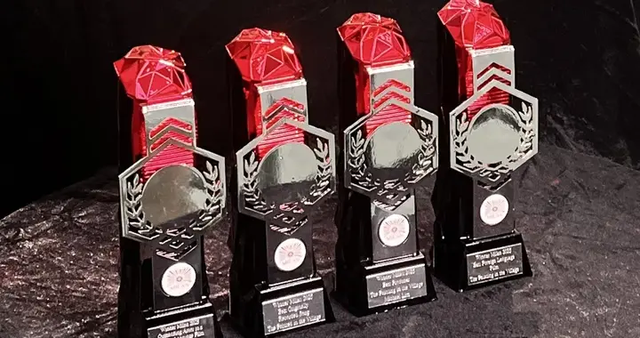 在资阳区拍摄的影片《我料青山应如是》，连获2025米兰FFI电影节四项大奖