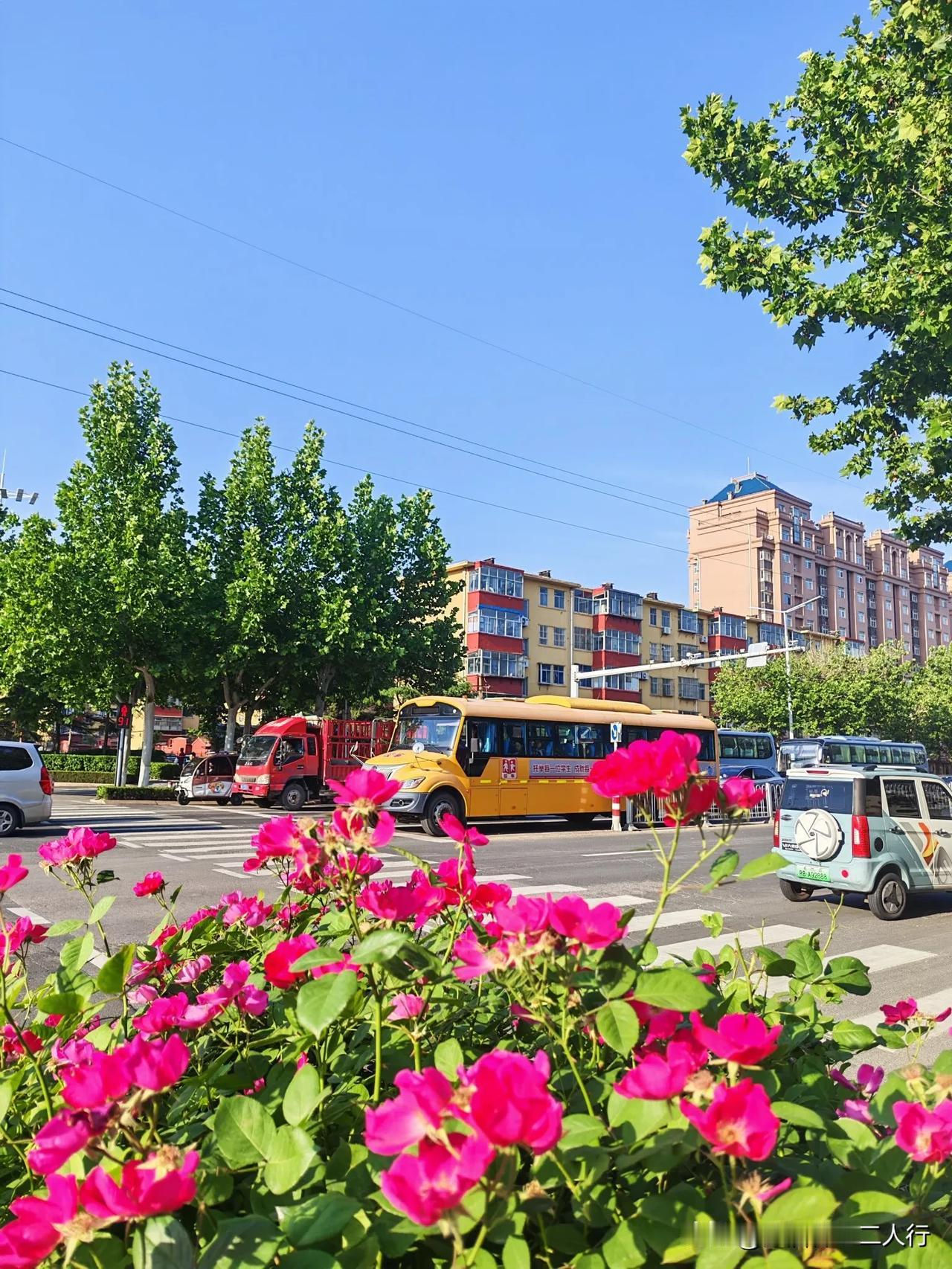 清晨出门，乘公交前往医院，去给因摔跤而脚腕骨折的老爸陪床。

今日是周一，是病房