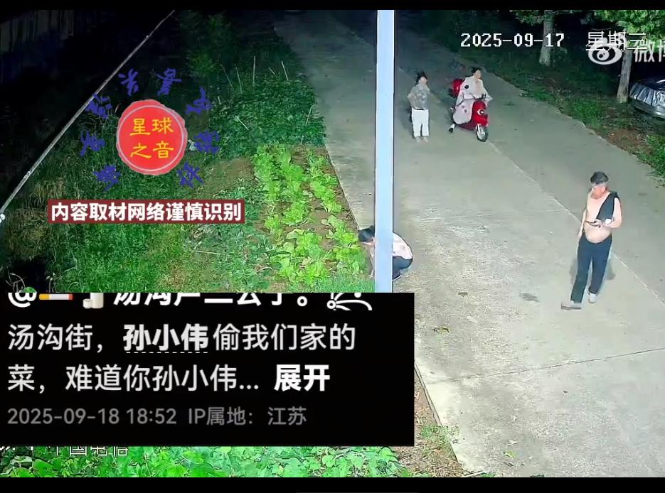路灯下偷割韭菜的一家，路边人家种的韭菜绿油油，被路过的这一家人看上了，女滴跑过去