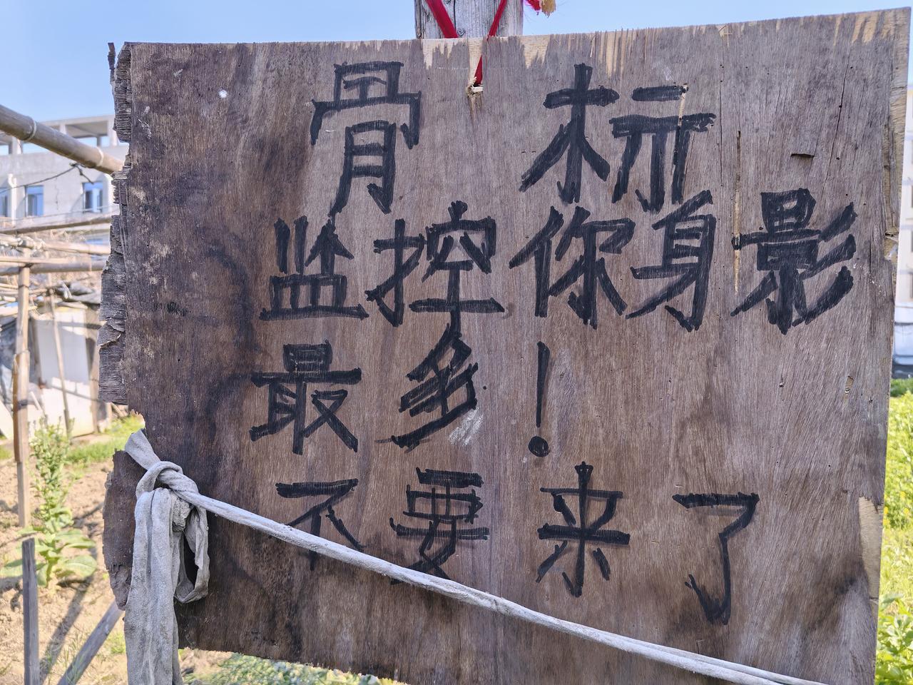 这一招真管用！立竿见影

我们队里的小菜园，大约有十亩地，十多户农家侍候着。
