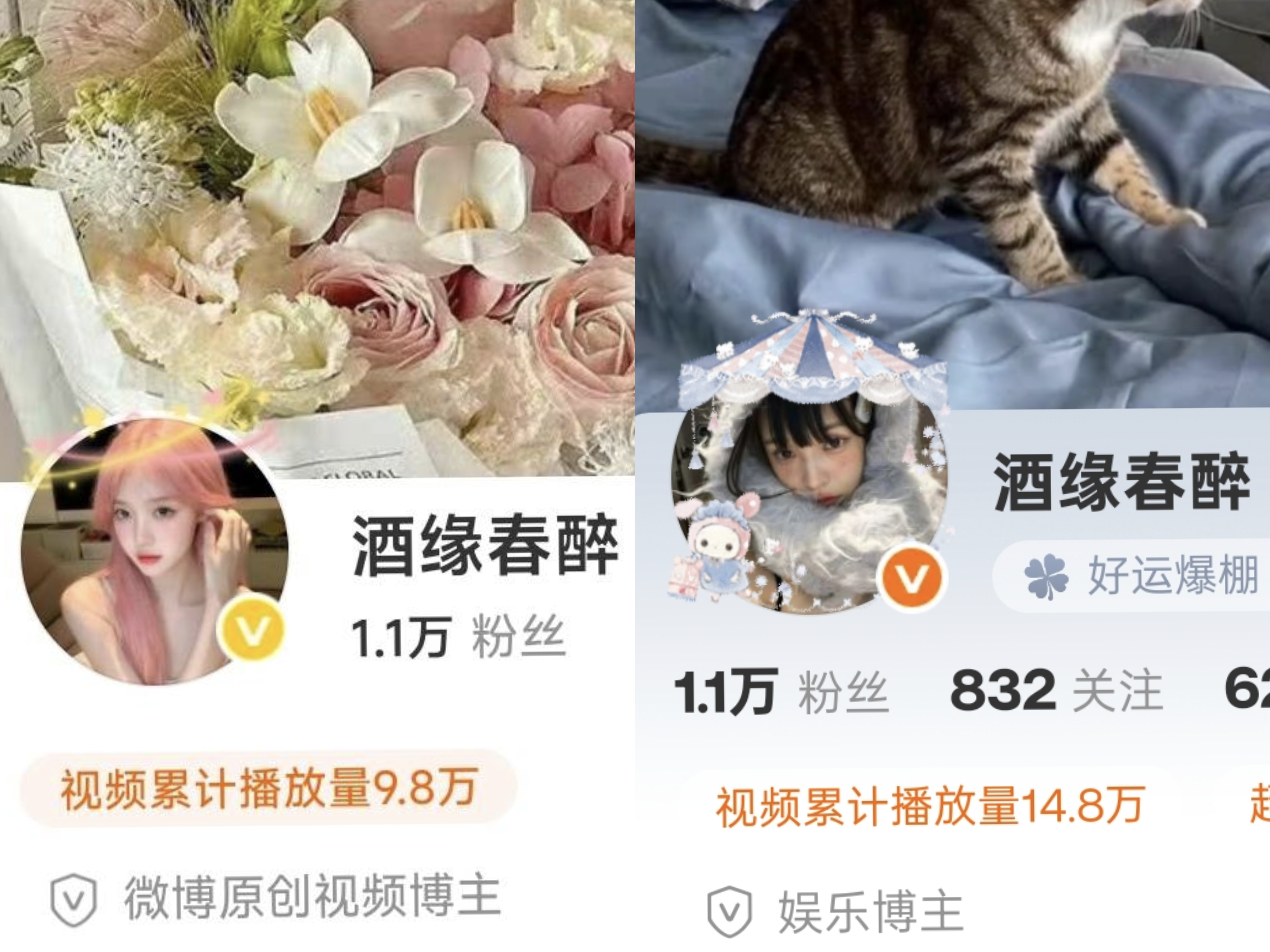 这一年唯一不变的除了ID就是依旧偏爱四分之三侧美女🌚 