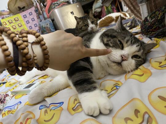 让你搞ca边！被限流了吧!