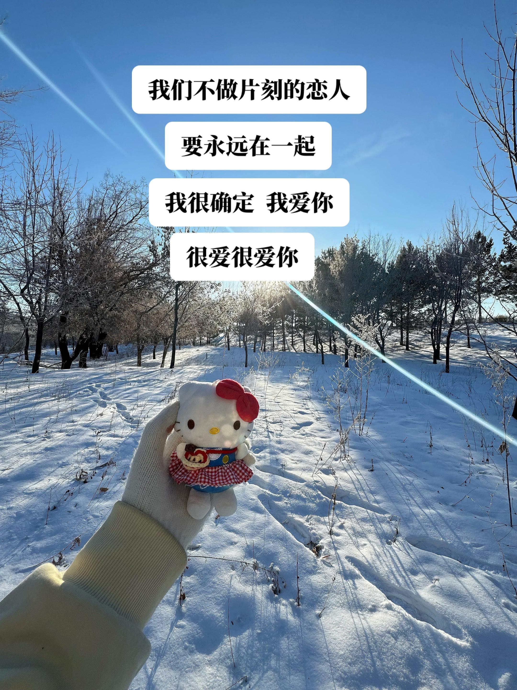 我们不做片刻的恋人   要永远在一起   我很确定   我爱你很爱很爱你.