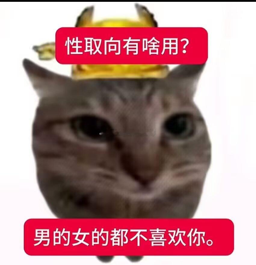 破防了 