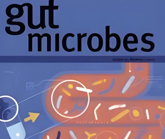 只需要注射一次，癌症完全缓解率100%！

日本发现了一种新的抗癌方法，效果还出