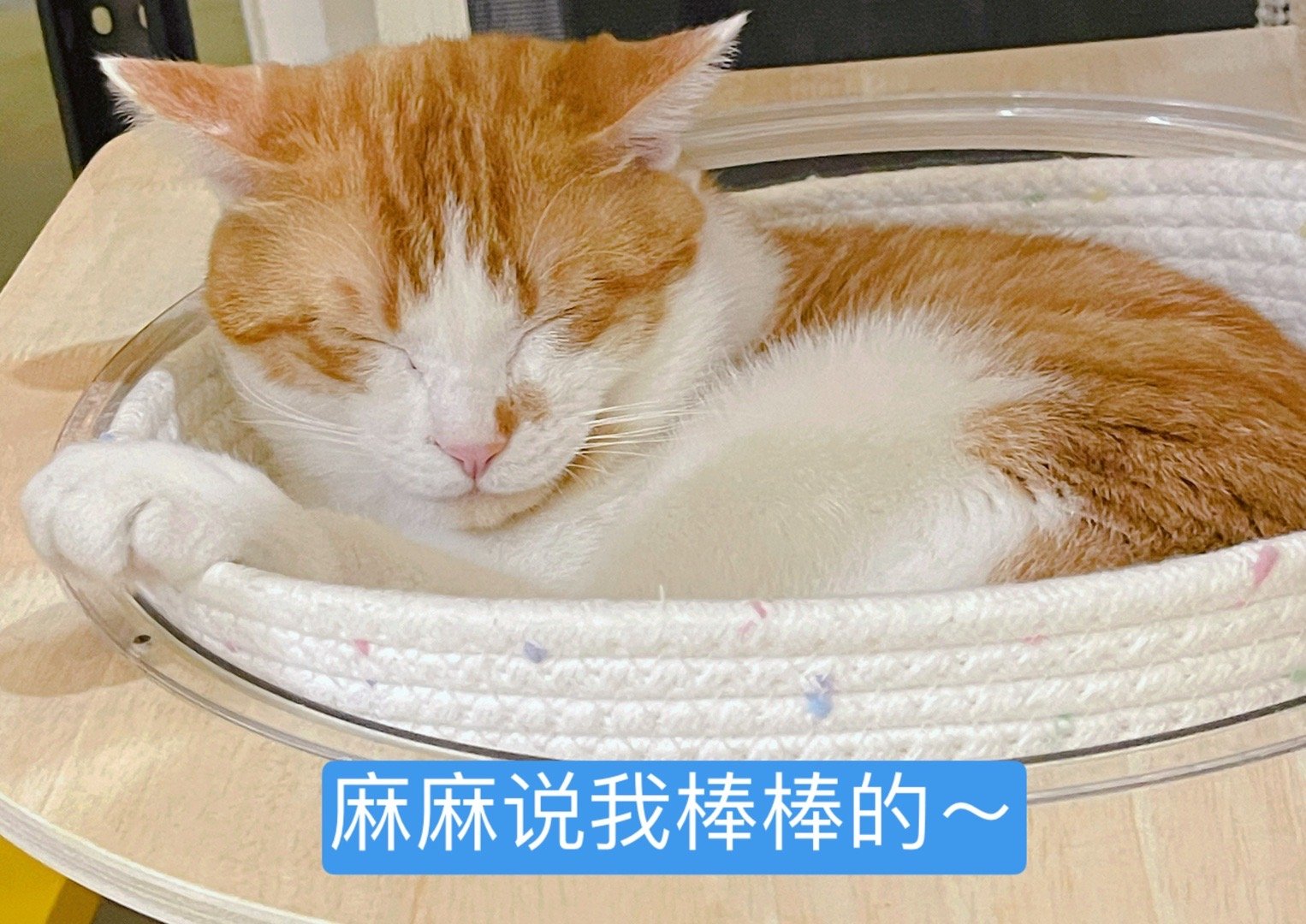 我说我家咸蛋棒棒的，他笑着睡着了～