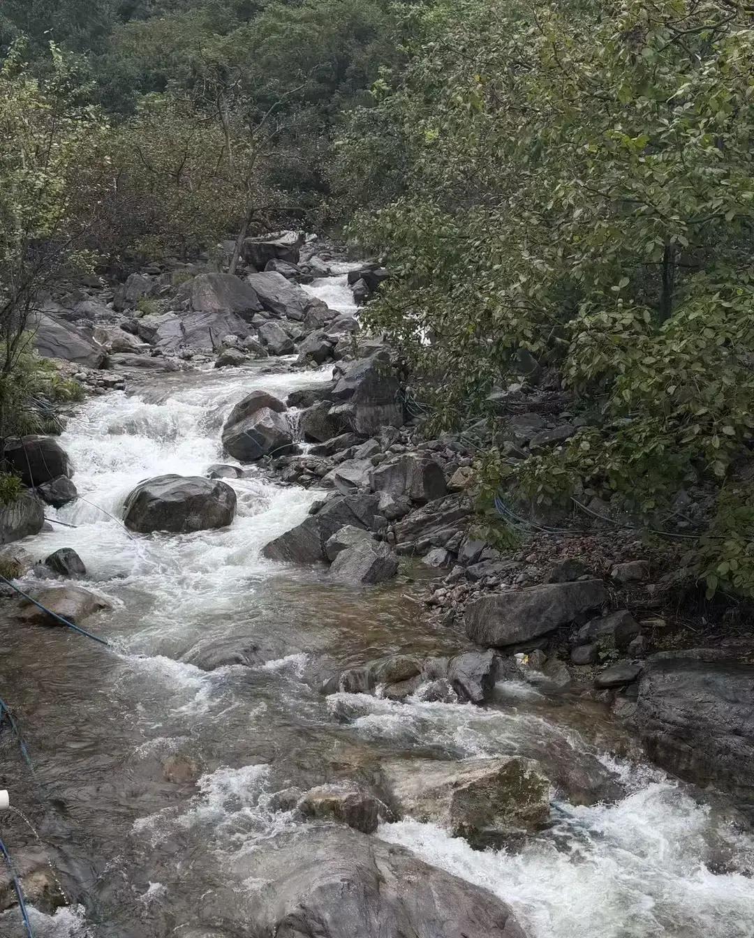 昨晚临睡前习惯性地划拉了一下手机银行，盯着八月份的总账单，我自己都暗自吃了一惊