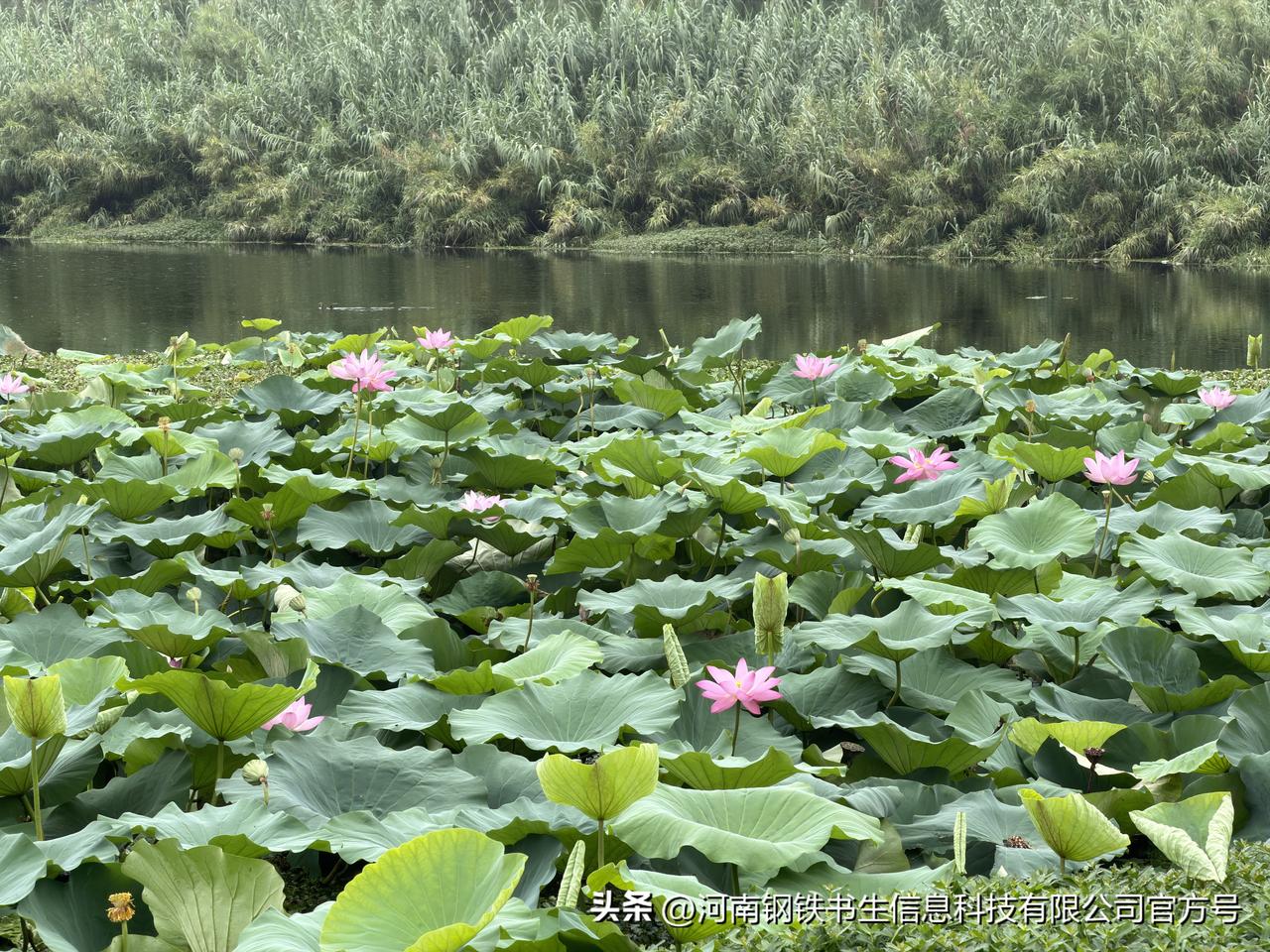 钢铁书生交易分享：

市场盈利的核心是：在输的时候少输，赢的时候多赢。

这句话