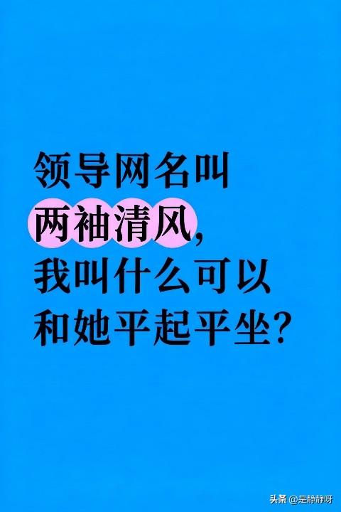 领导网名叫两袖清风，我叫什么，可以和她平起平坐？