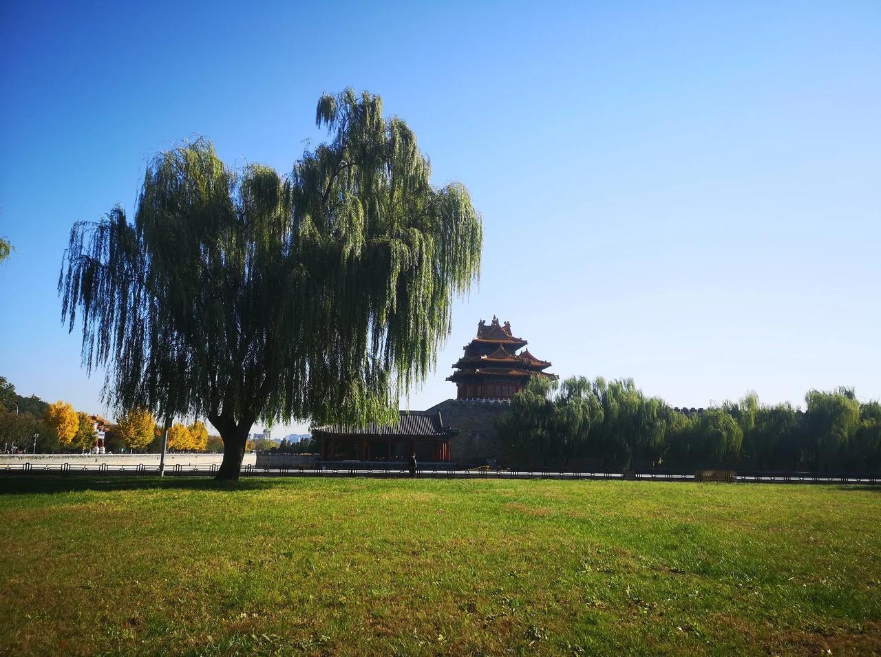 快来看看我新换的主页背景吧