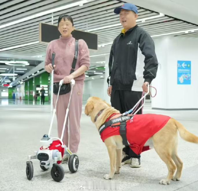 深圳地铁智能导盲犬“小蒜”上线，为视障人士地铁出行提供新型科技便利 