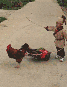 古代这都是什么职业？