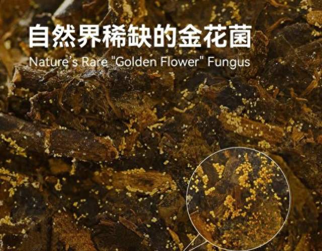 绿茶红茶乌龙黑茶，到底哪款最养你？这份“体检报告”说明白了