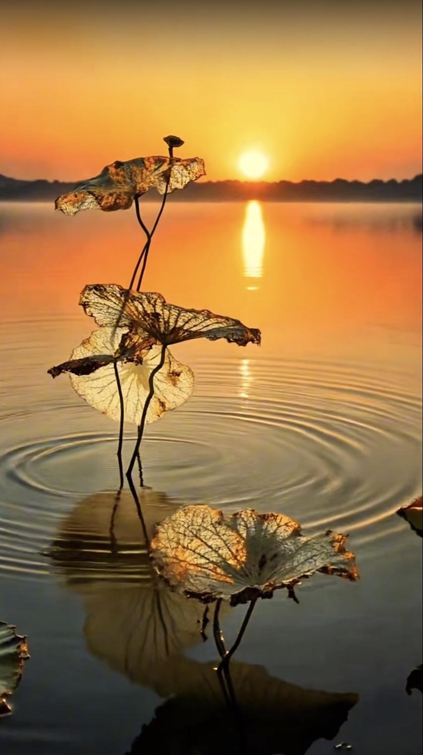 上联：残花无蝶恋
下联：古寺有云栖